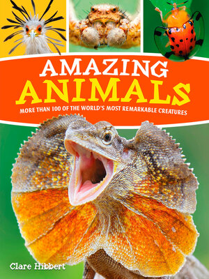 cover image of Amazing Animals: More than 100 of the World's Most Remarkable Creatures